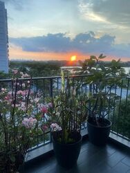 Q Bay Residences (D18), Condominium #557019081